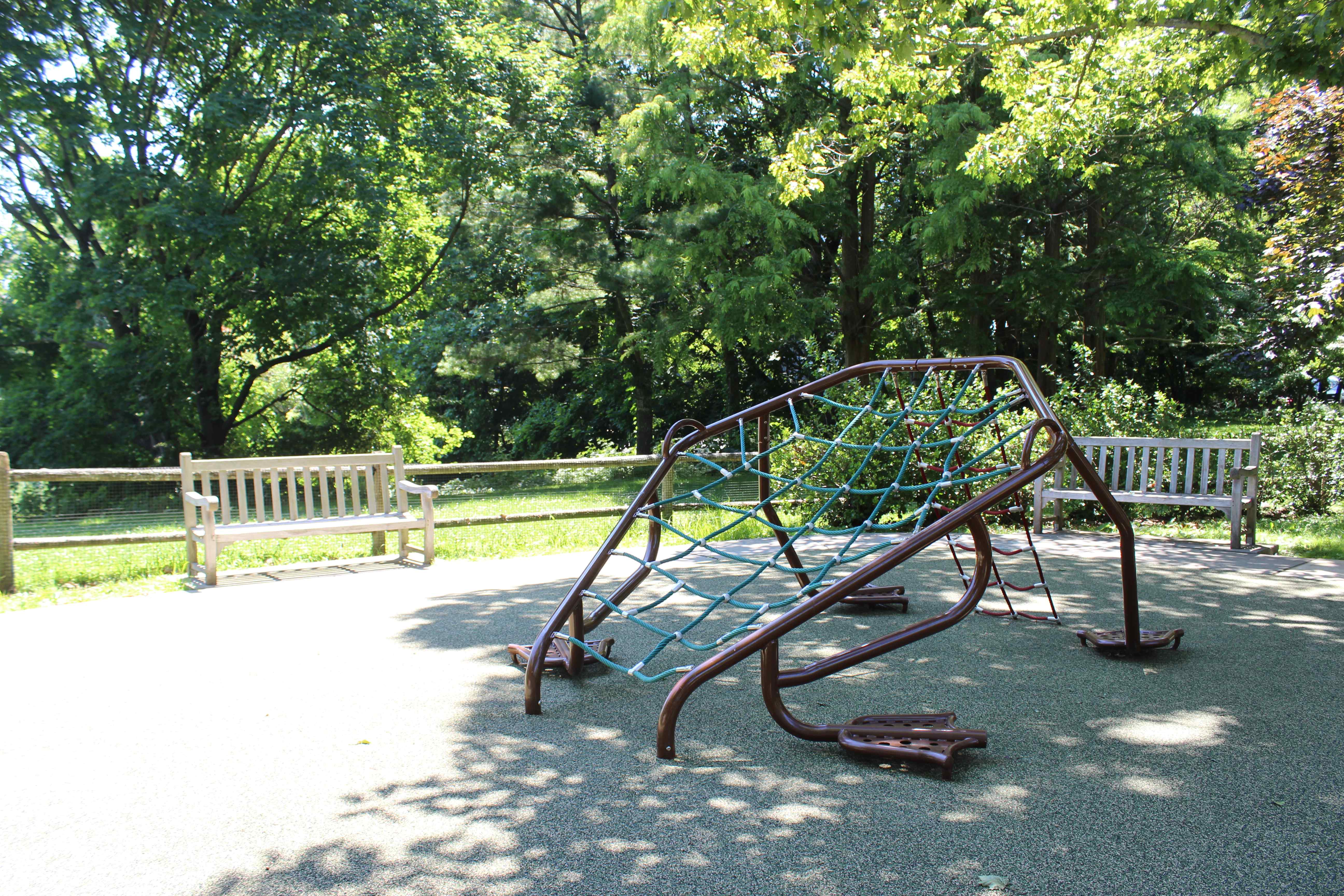 Bruce Park Gallery MRC Recreation